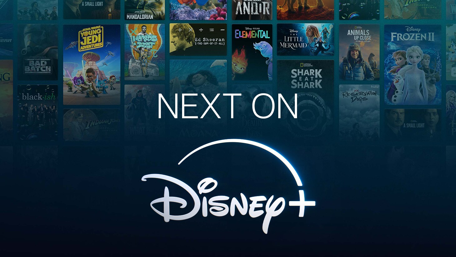 please go to the disney  home page by clicking the button below