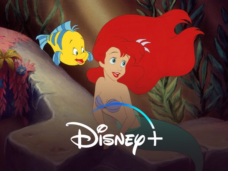 Ariel Disney Princess Ariel had made an appearance ariel had been voiced by jodi benson in all the animated appearances and merchandise as well. ariel disney princess