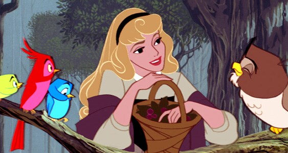 Cinderella's Story | Disney Princess