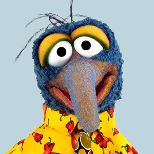 character_themuppets_gonzo_9c3596c6.jpeg
