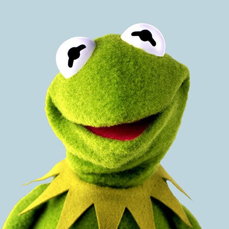 kermit none of my business hair