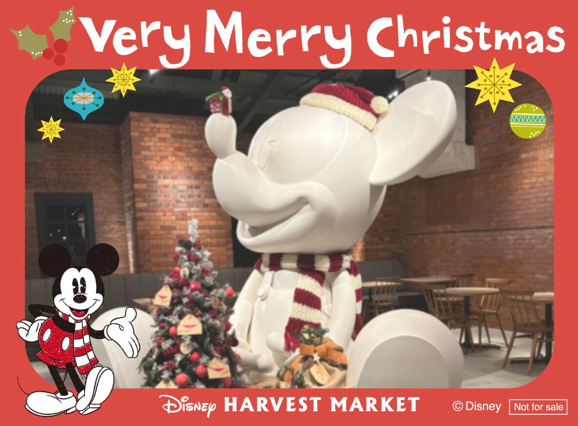 セレブレーションプラン限定チェキフレーム