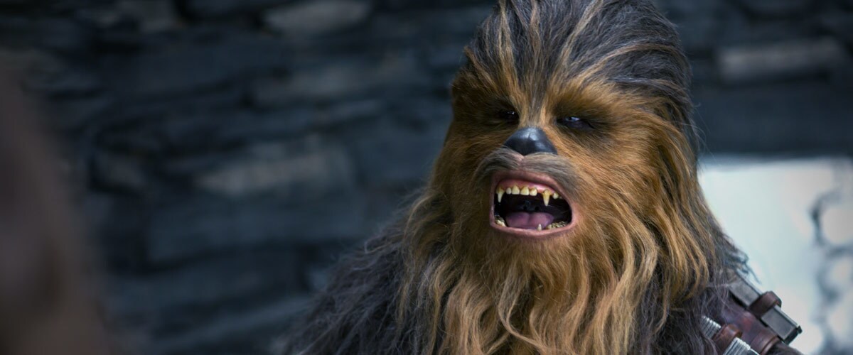 Chewbacca on Ahch-To