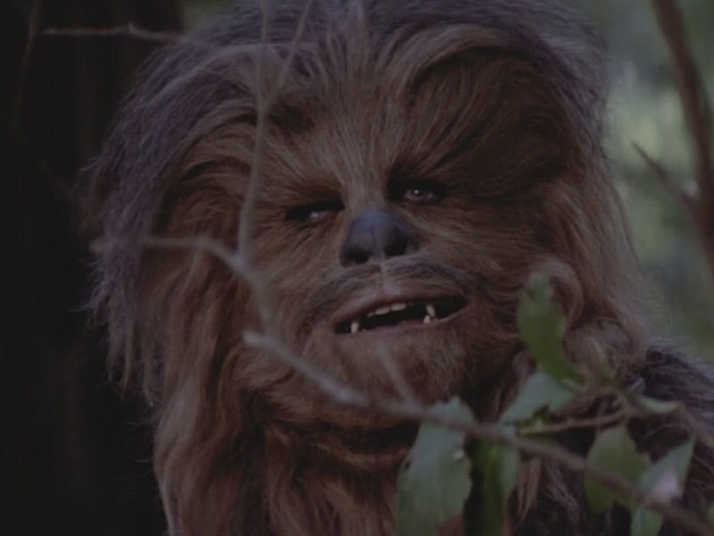 Quote - Endor - “I’m afraid our furry companion has gone and done something rather rash.”
