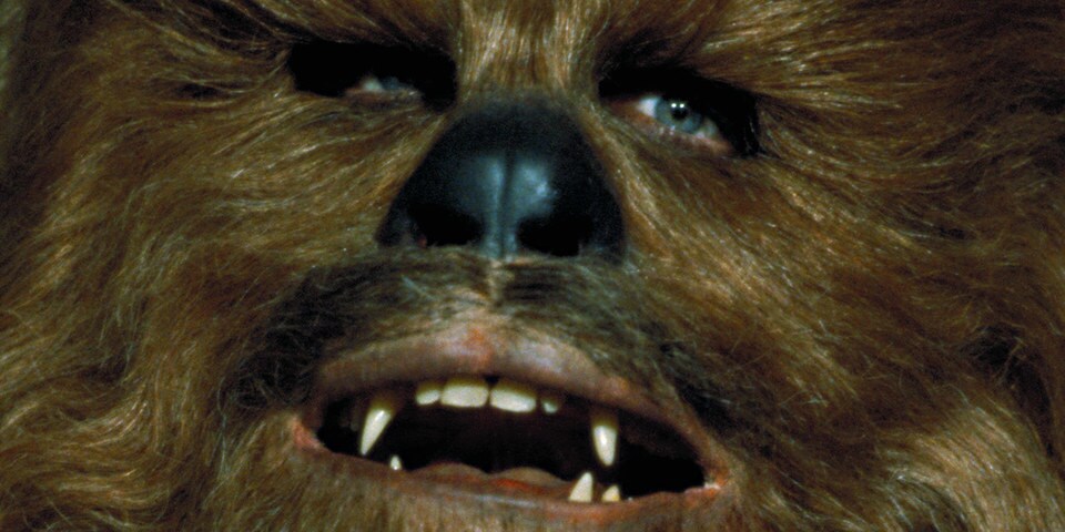 chewbacca starwars com