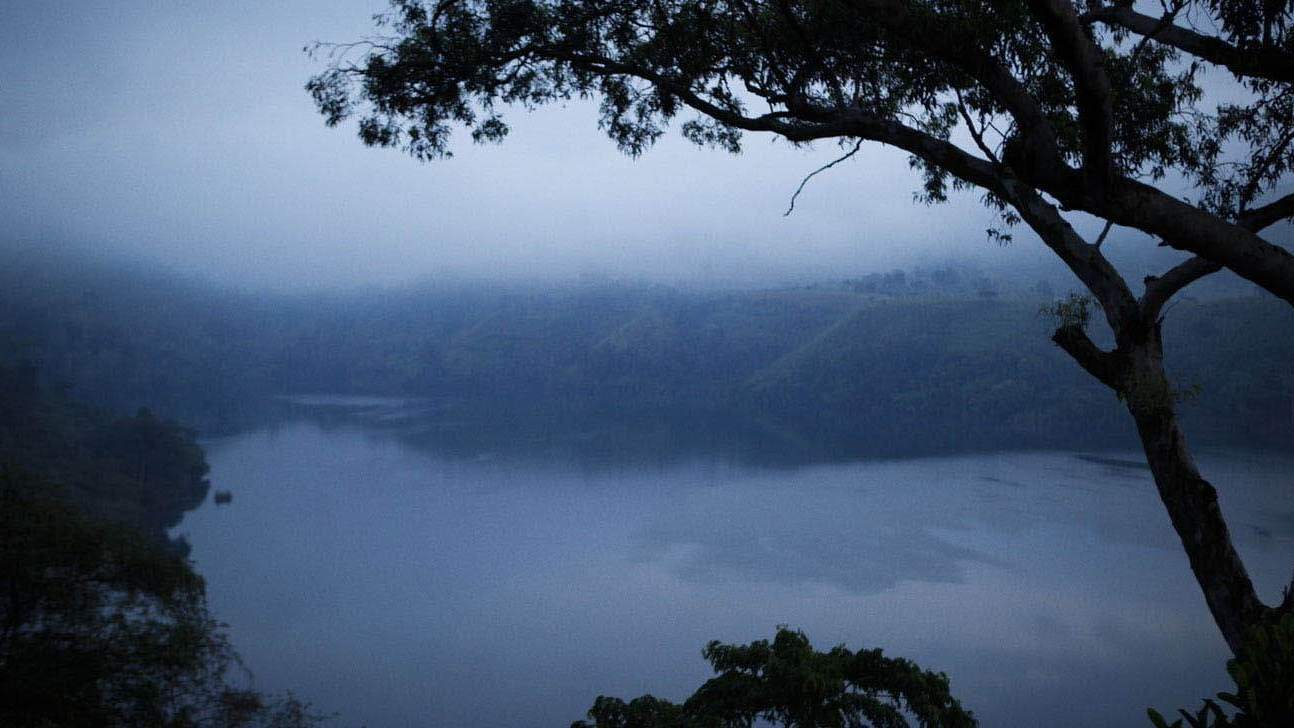 A sky view of clouds above an African forest