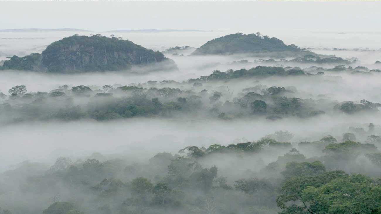 A sky view of clouds above an African forest