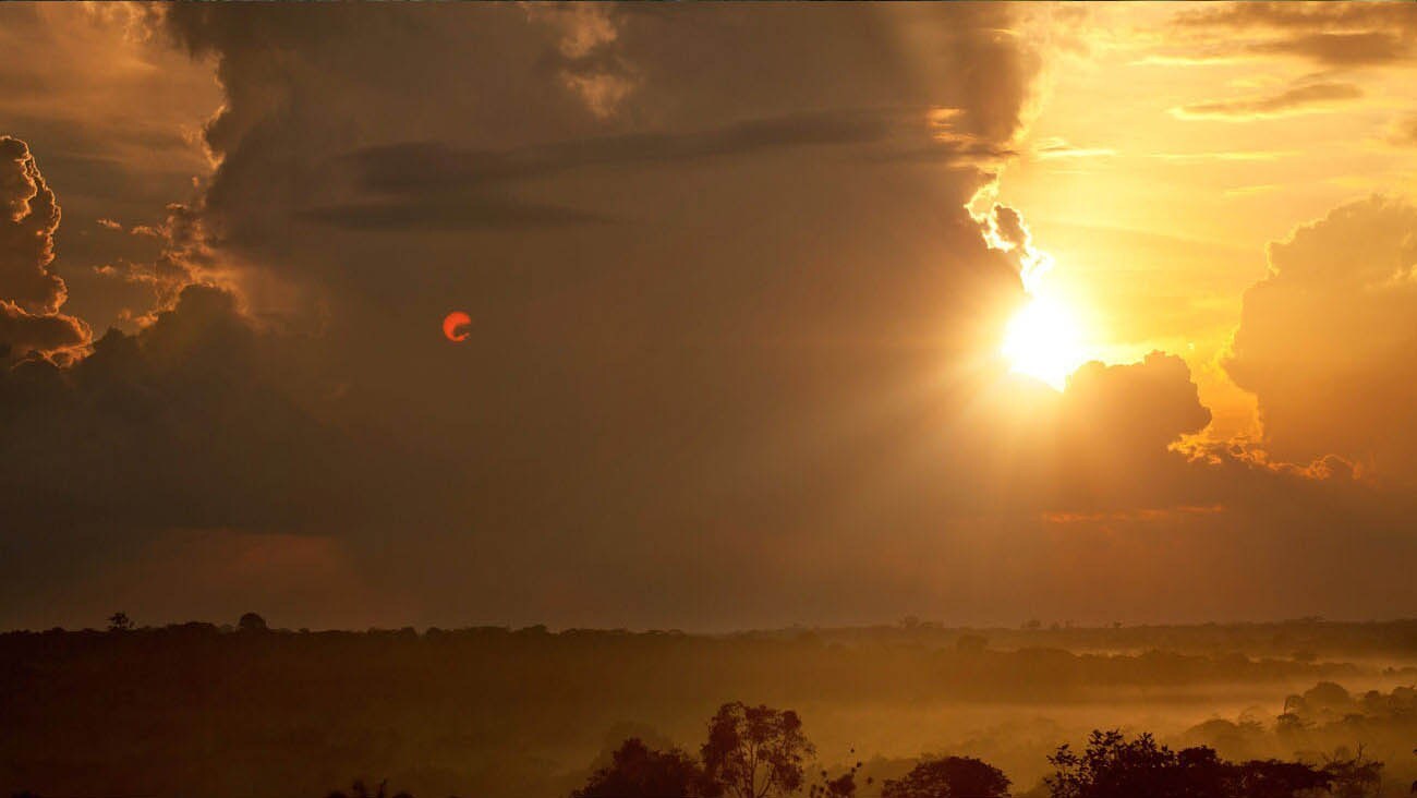 The sunrise above an African jungle