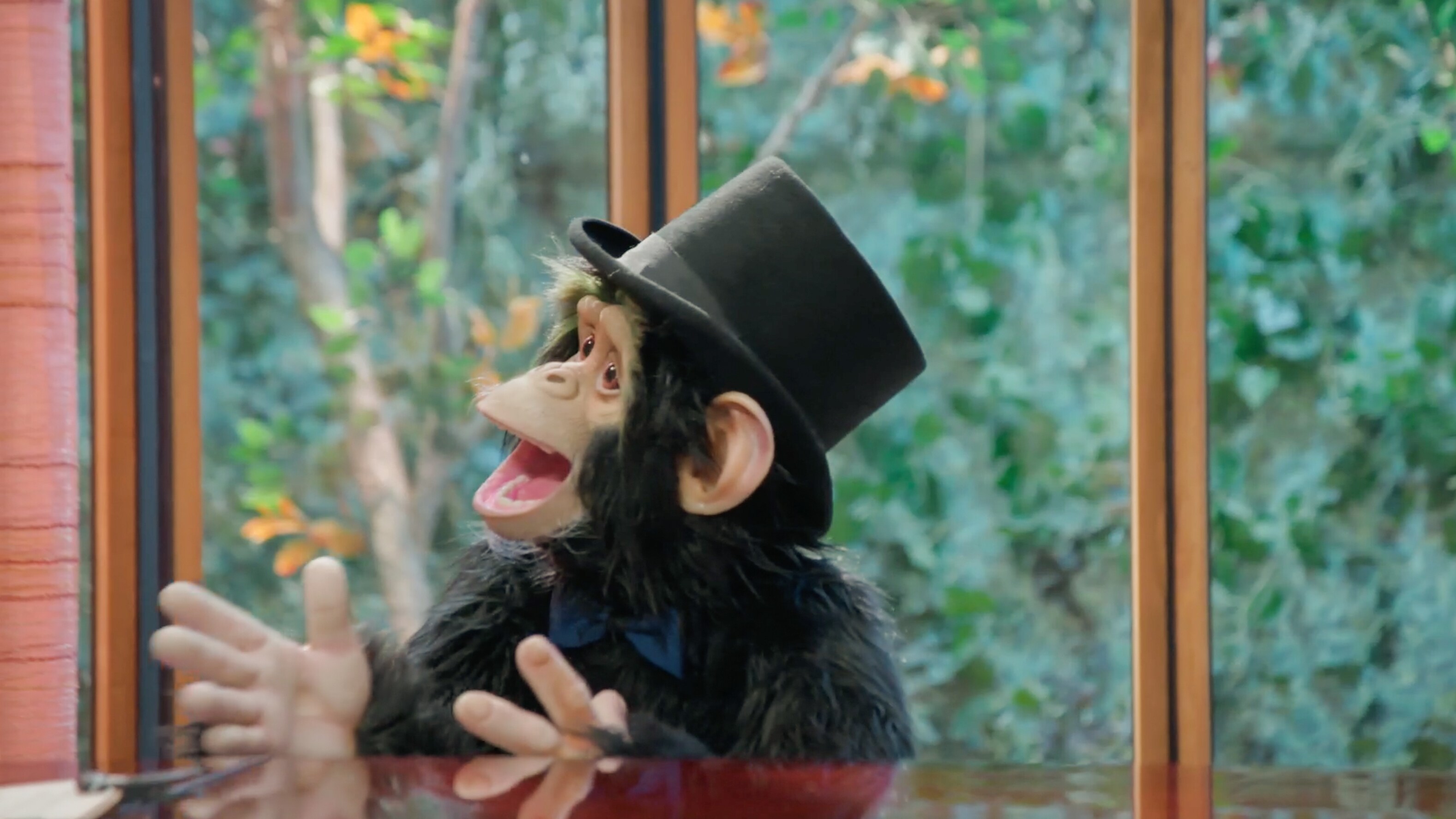 'C.H.U.E.C.O'.: cómo cobró vida el chimpancé interpretado por Agustín “Soy Rada” Aristarán