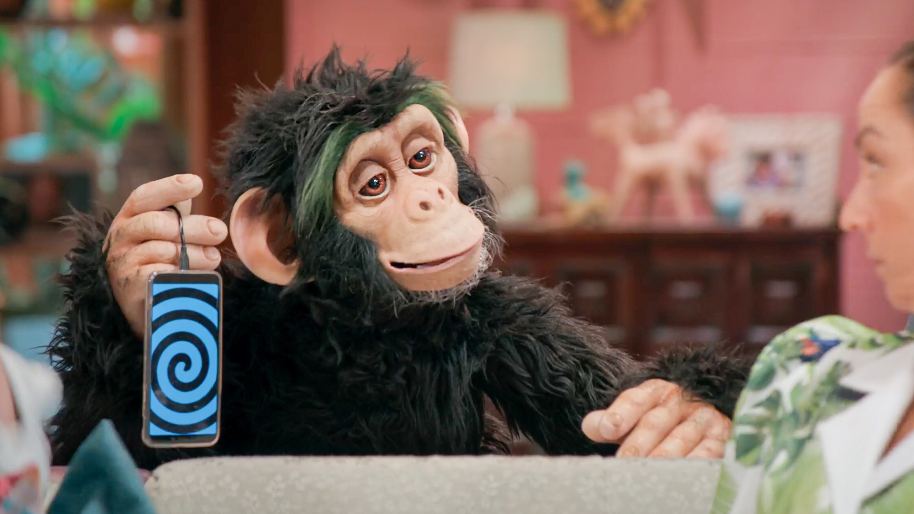 'C.H.U.E.C.O.': conoce la historia del divertido chimpancé que habla