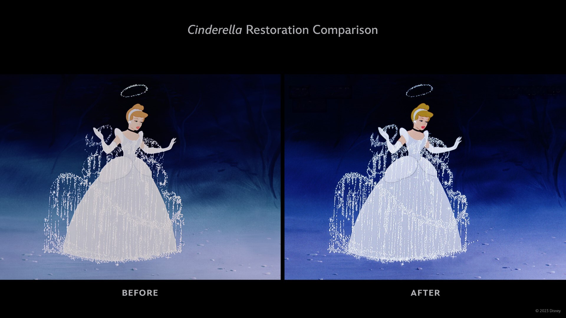 Cinderella Dress for Adults Cinderella Cosplay Costume – MJcostume