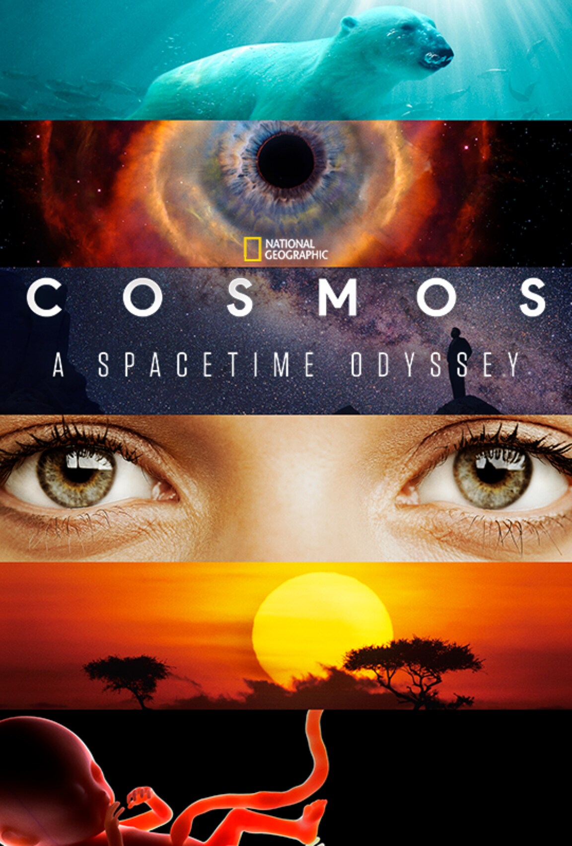 cosmos a spacetime odyssey poster