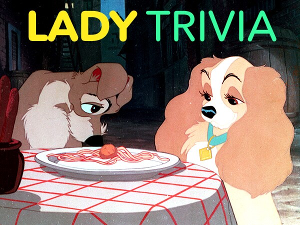 How Well Do You Know Lady And The Tramp?