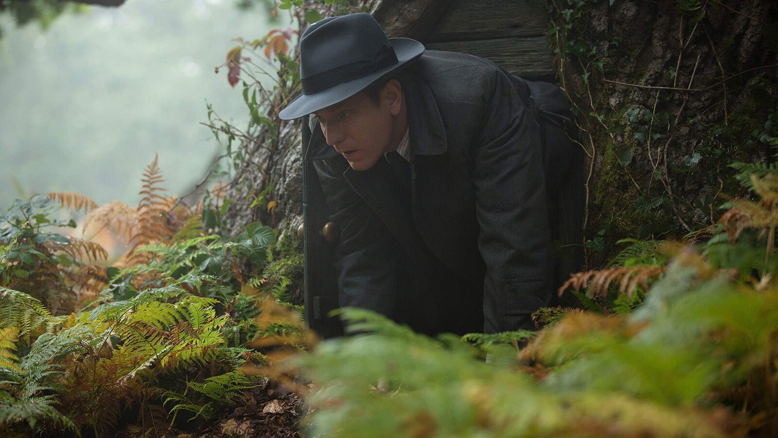 Christopher Robin Showcase image 13