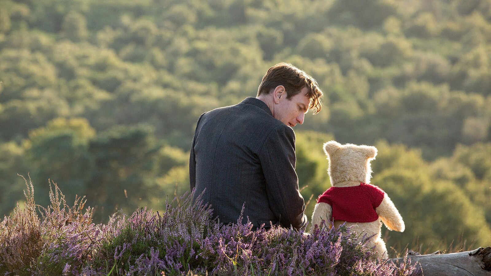 Christopher Robin Showcase image 11