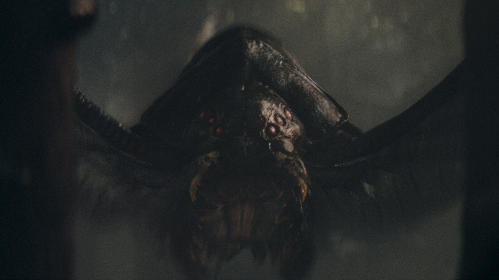 Mage Insectoid Insectoid Aliens Star Wars