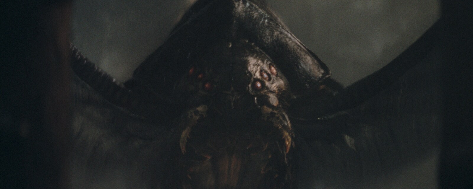 An umbramoth seen in "The Acolyte."