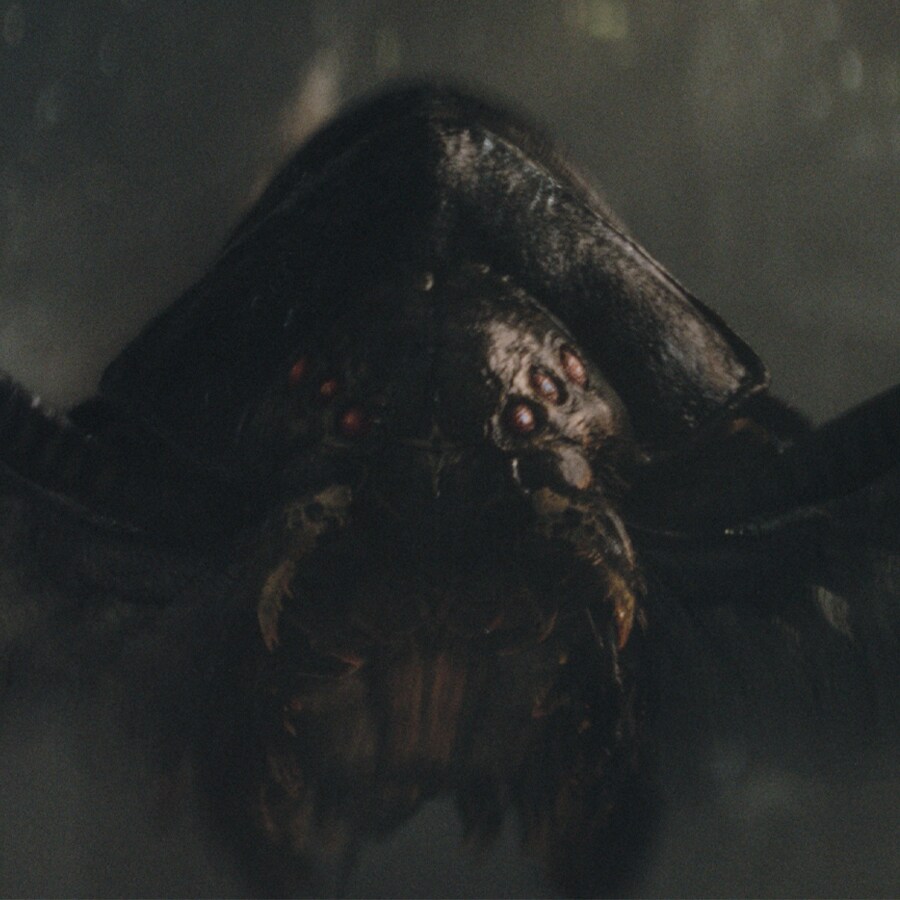 The Creepiest Star Wars Creatures | StarWars.com