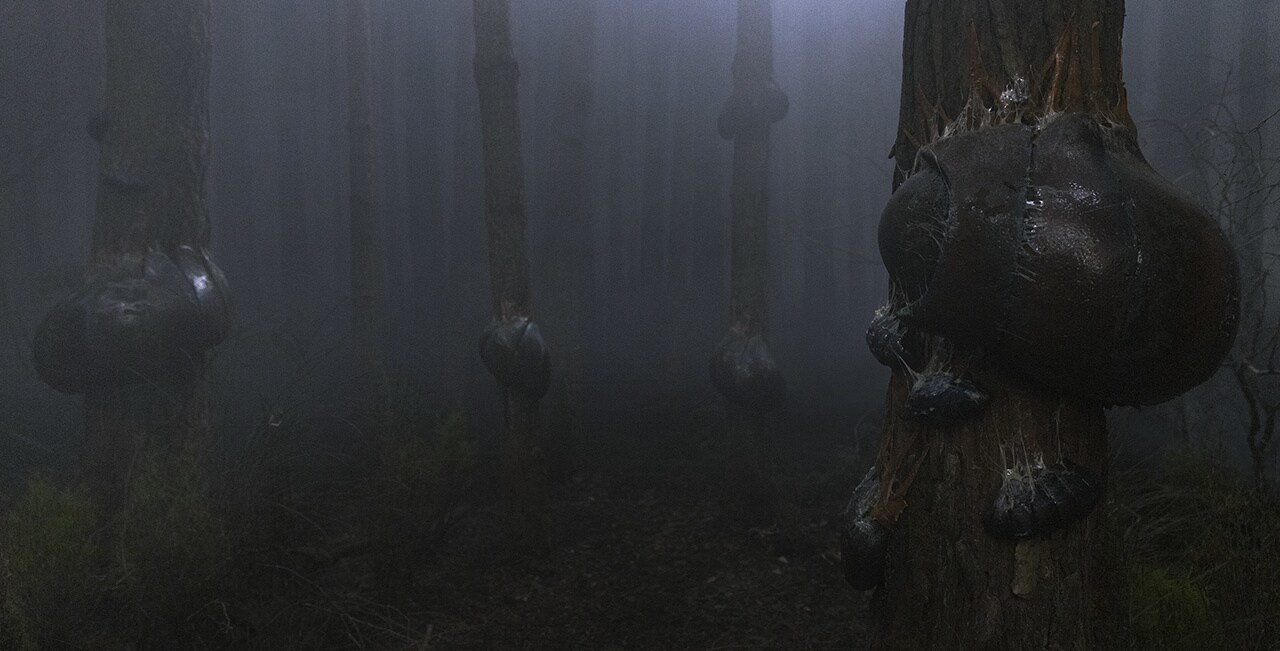 A group of umbramoths.