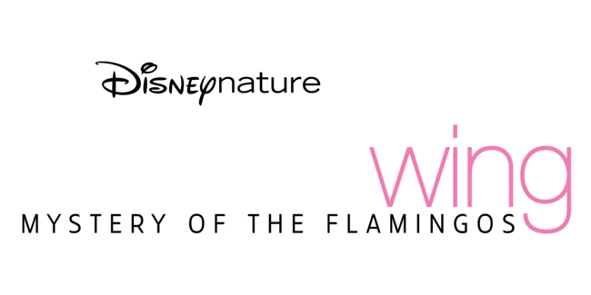 Disneynature: The Crimson Wing: Mystery Of The Flamingos