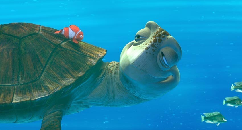 Marlin sitting on a sea turtle's back in the animated movie "Finding Nemo"