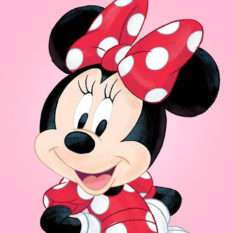Minnie Mouse Disney Mickey