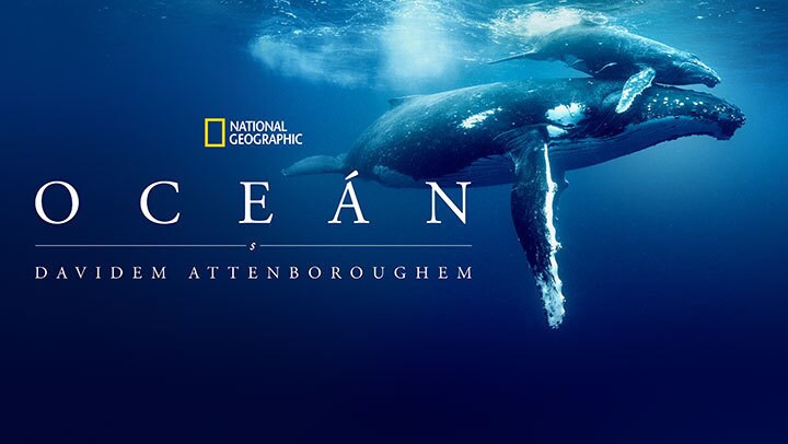 Oceán s Davidem Attenboroughem