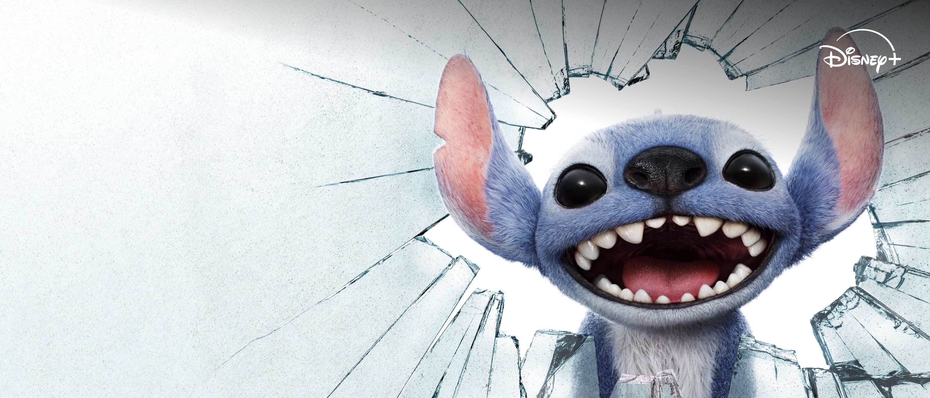 Stream nu Lilo & Stitch op Disney+