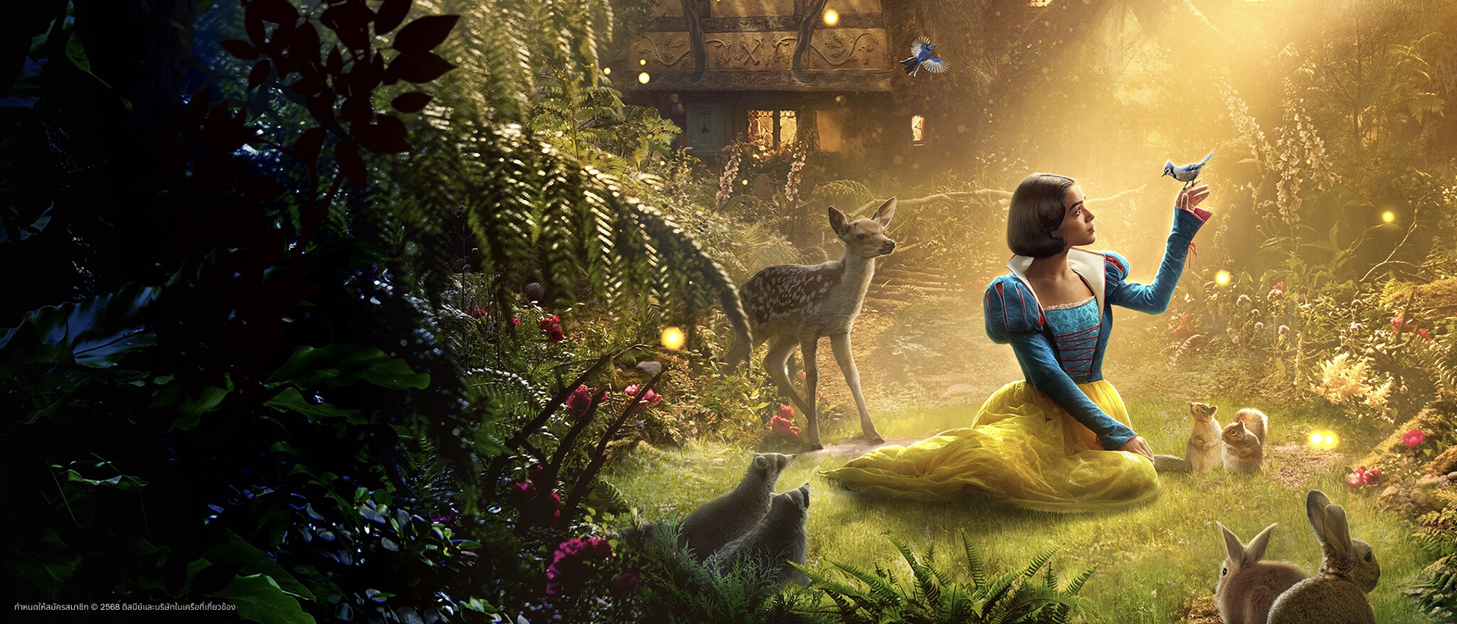Homepage Hero Banner - Disney+ June Refresh - Snow White
