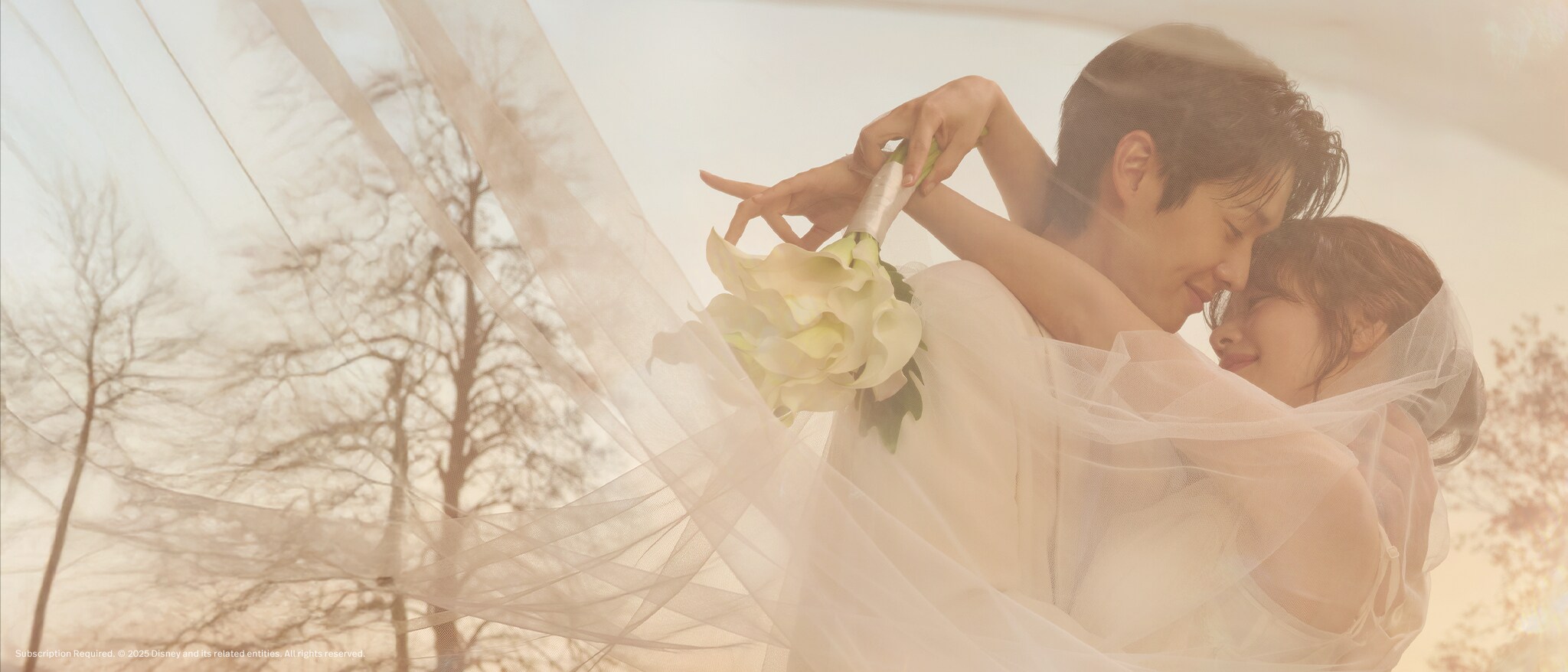 Homepage Hero Banner - Disney | Disney+ PH Would You Marry Me?