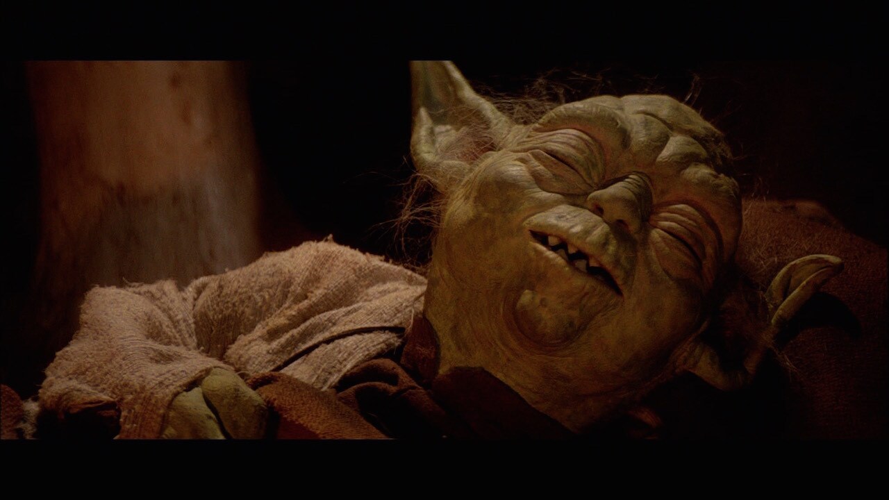 Yoda then died and vanished, his physical form dissolving into the Force. He had learned Qui-Gon’...