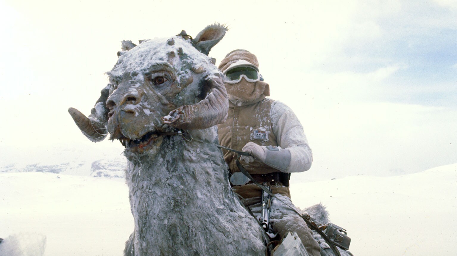 Luke on a Tauntaun