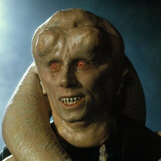Bib Fortuna