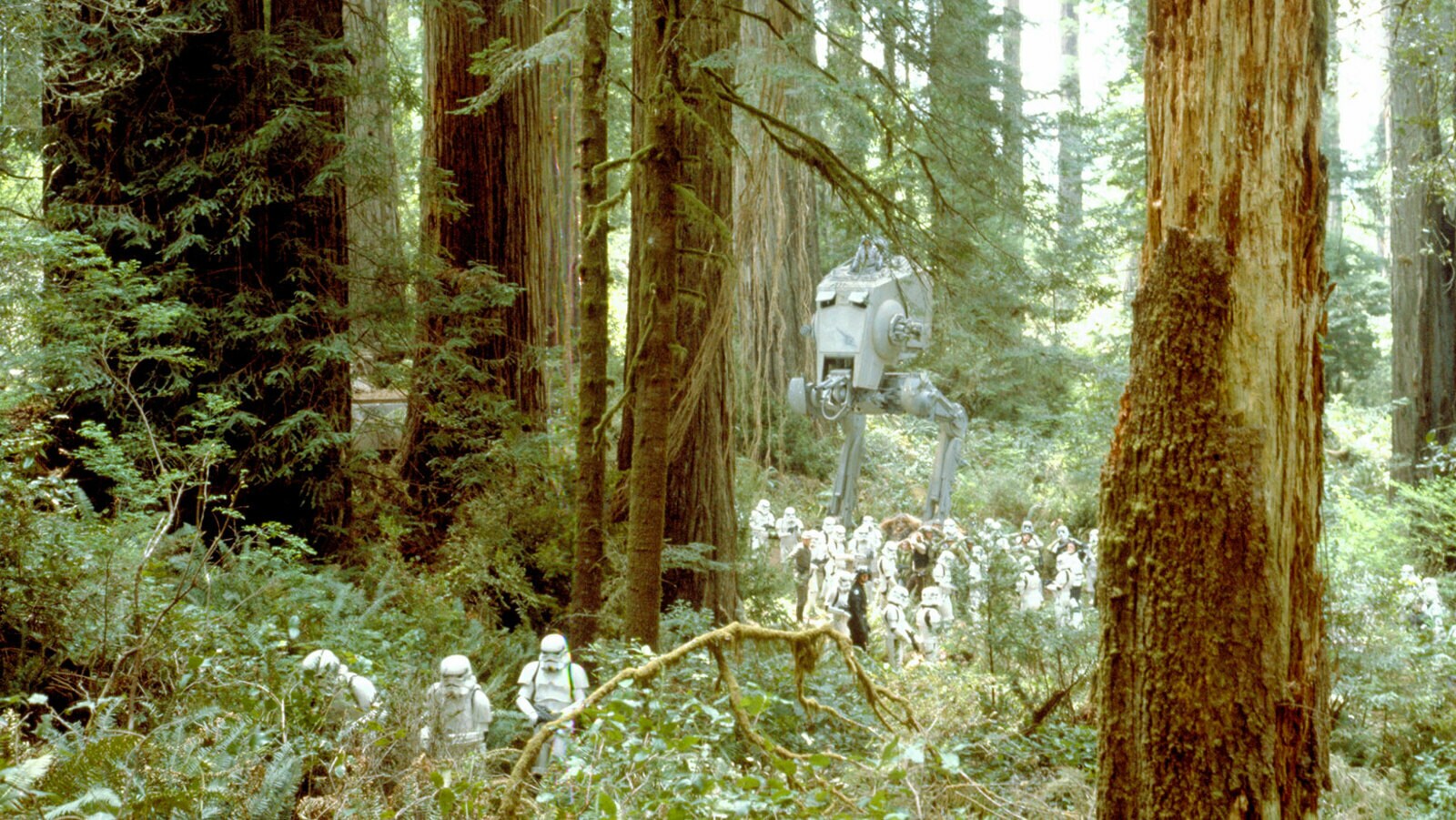 Endor landscape