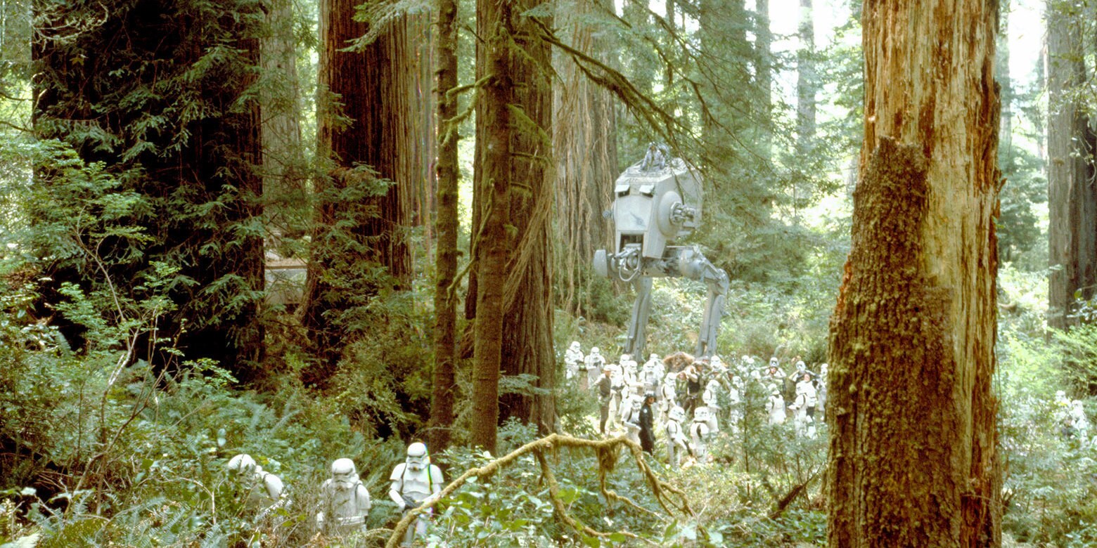 Forest moon of Endor.