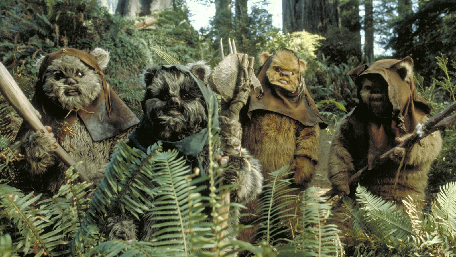 Ewoks species