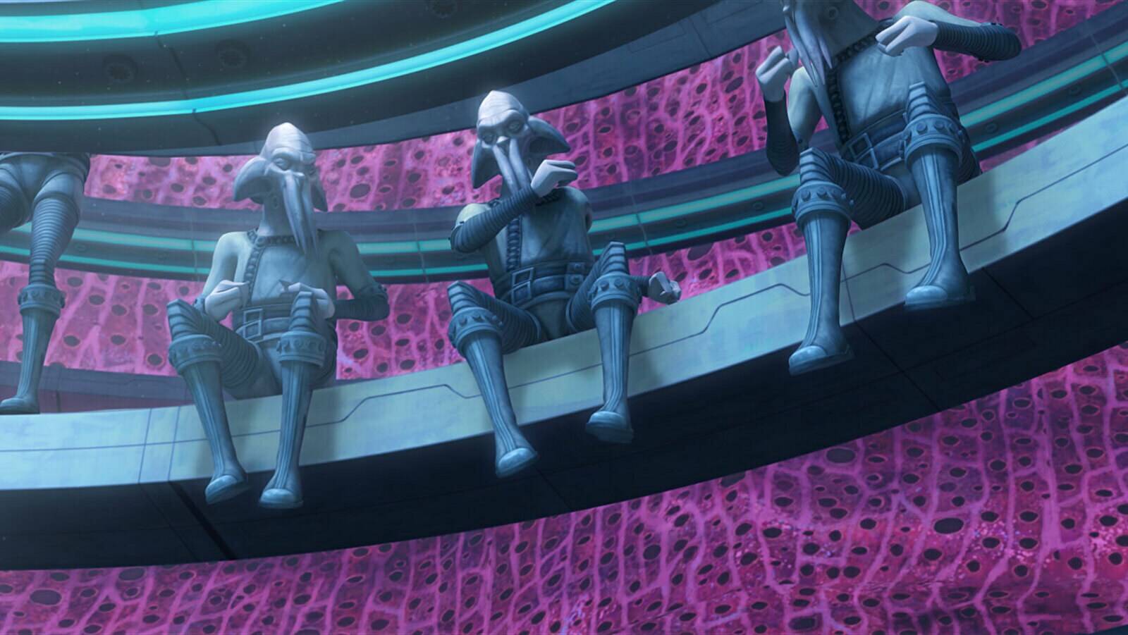 Quarren species