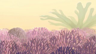 Rugosa