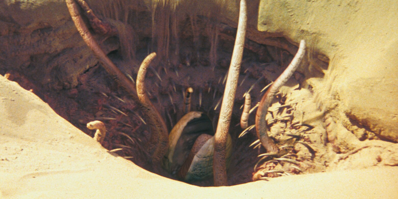 Image result for sarlacc pit