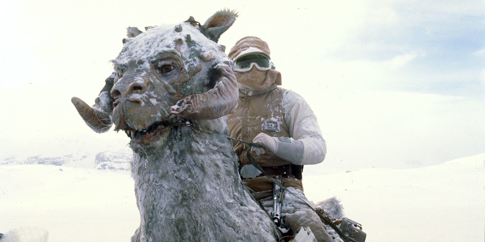 What Is A Tauntaun In Star Wars