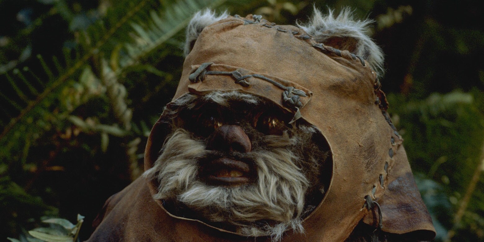 Wicket W. Warrick | StarWars.com