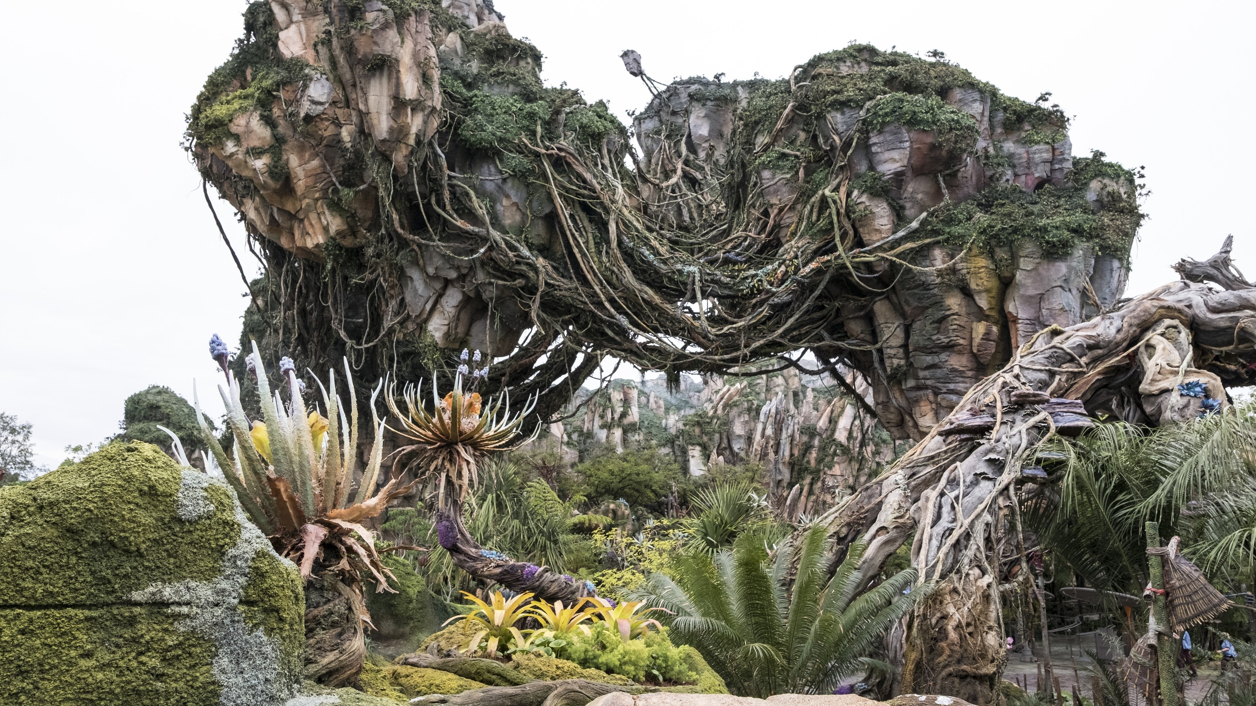 Pandora: The World of Avatar at Disney's Animal Kingdom Theme Park