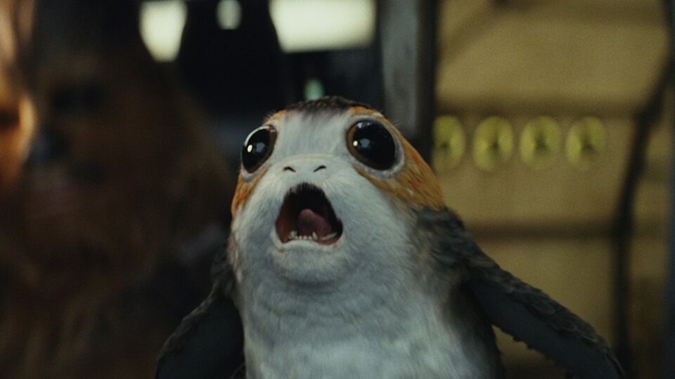 Porg