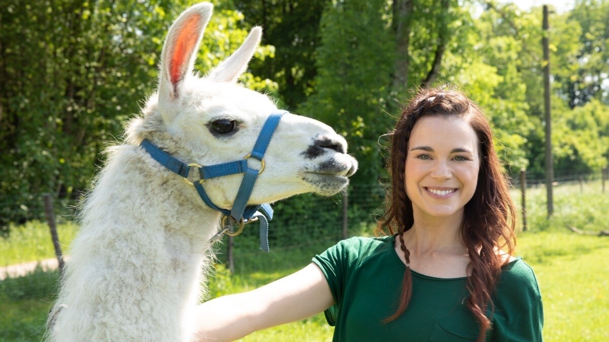 Patricia und das Lama