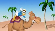 Donald of the Desert