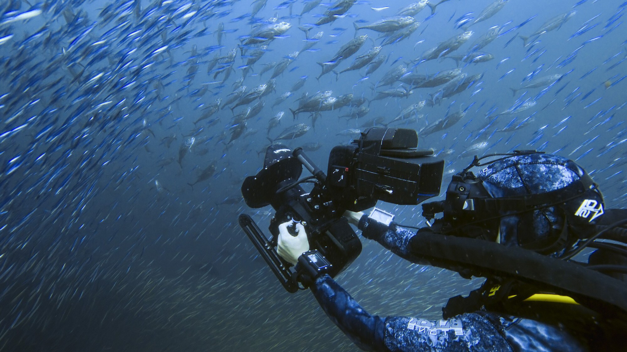 Bertie Gregory swimming through a shoal of fish. (National Geographic for Disney+/Dan Beecham)
