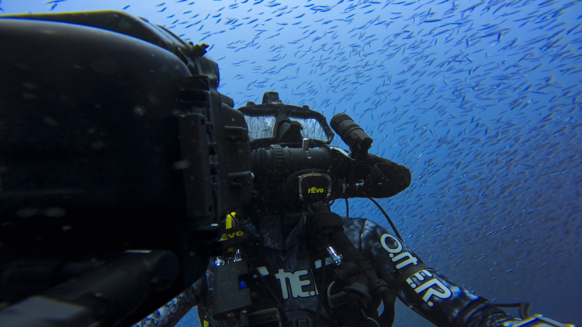 Bertie Gregory filming underwater. (National Geographic for Disney+/Bertie Gregory)