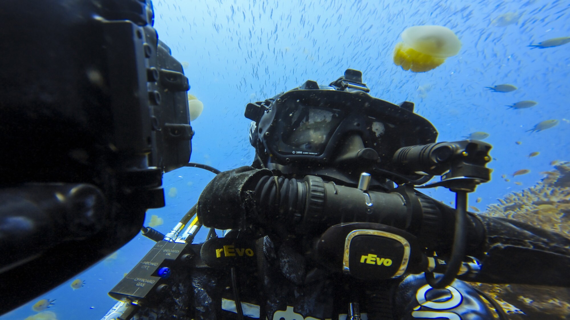 Bertie Gregory underwater in Indonesia. (National Geographic for Disney+/Bertie Gregory)