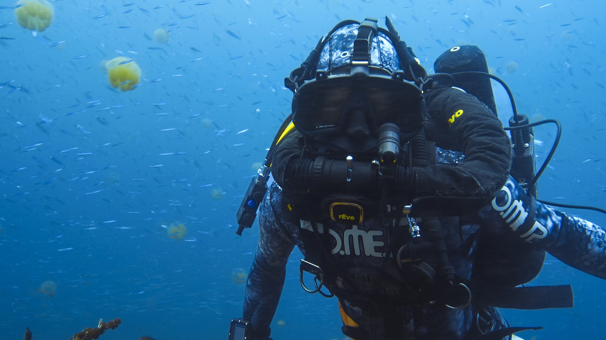 Bertie Gregory underwater in Indonesia. (National Geographic for Disney+/Dan Beecham)