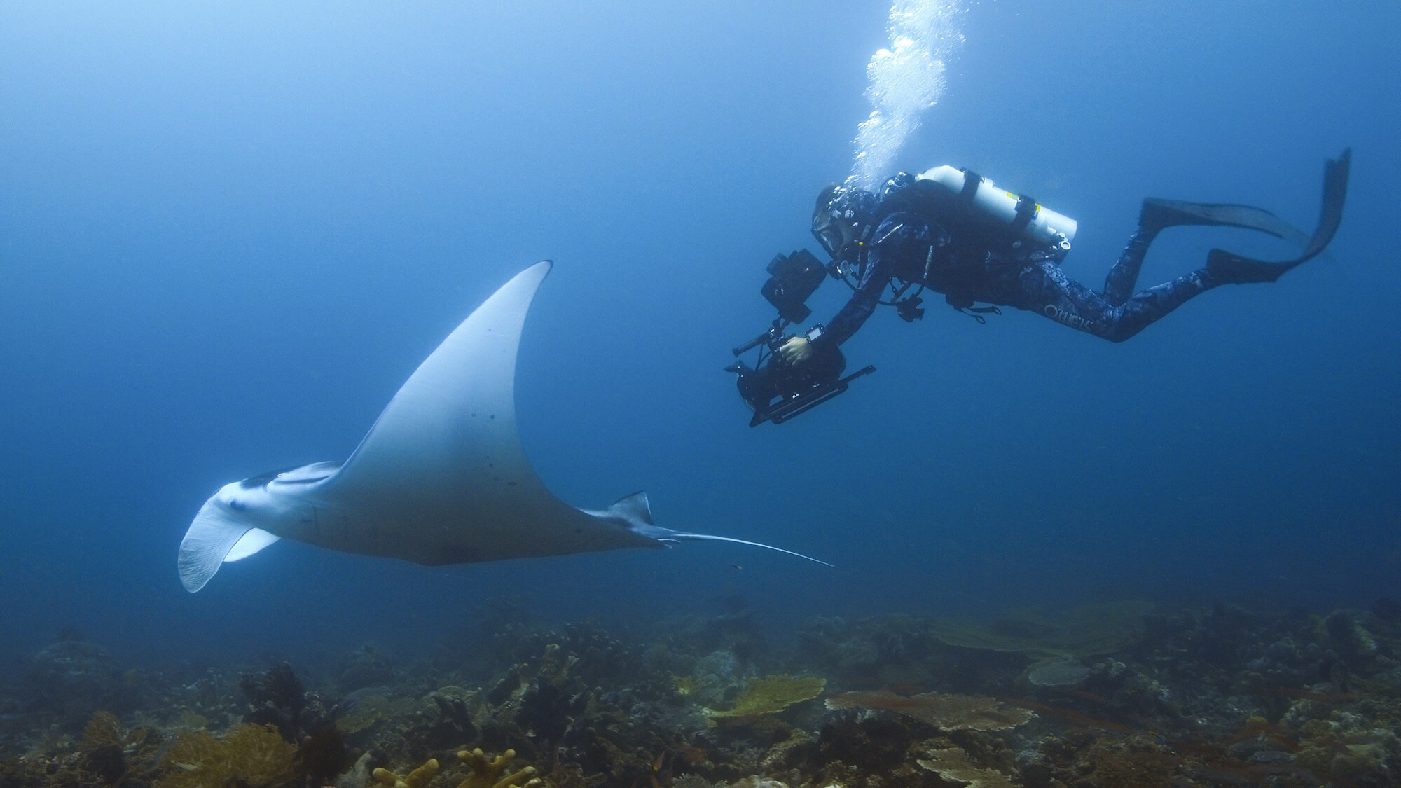 Bertie Gregory filming a Ray. (National Geographic for Disney+/Dan Beecham)